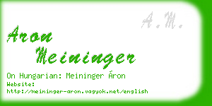 aron meininger business card